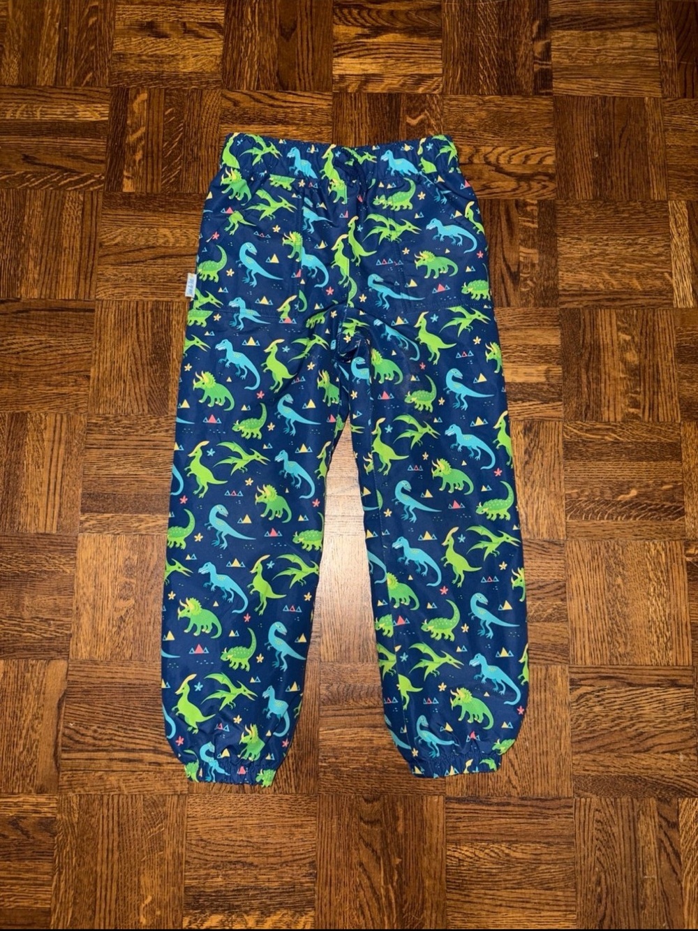 Jan & Navy Fleece lined rain pants Dinosaur Print 6Y